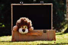 Die koffer in de gang: Terugblik op de veertiendagenregeling nu de kinderen groot zijn